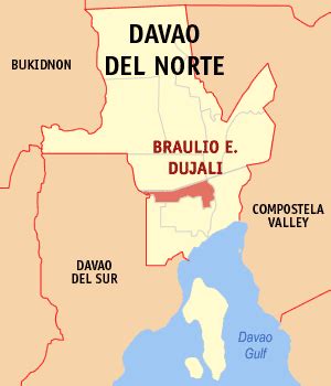 braulio e dujali zip code|Municipality of Braulio E. Dujali Map .